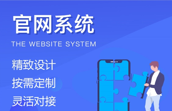 企业官网定制开发服务